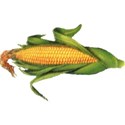 pdw_DDD_chey0kota_FarmStand_ele (56)