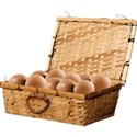 pdw_DDD_chey0kota_FarmStand_ele (62)