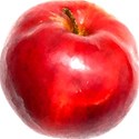 pdw_DDD_chey0kota_FarmStand_ele (97)