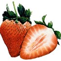 pdw_DDD_chey0kota_FarmStand_ele (130)