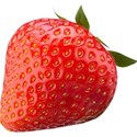 pdw_DDD_chey0kota_FarmStand_ele (136)