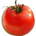pdw_DDD_chey0kota_FarmStand_ele (139)
