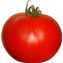 pdw_DDD_chey0kota_FarmStand_ele (138)