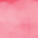 paper6
