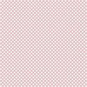 PP5