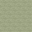 PP23
