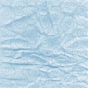 ClaudiaSachs_Paper05