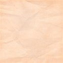 stierney_pumpkinpiespice_paper (3)