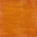 stierney_pumpkinpiespice_paper (2)