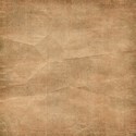 stierney_pumpkinpiespice_paper (6)