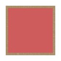 lisaminor_summerbegins_frame_i