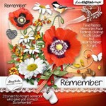 Remember ~ Memorial Day