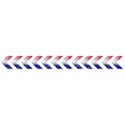 chey0kota_Patriotic_Ele (9)