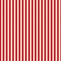 chey0kota_Patriotic_Pap  (17)
