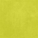 BG Solid Yellow