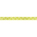 Ribbon 02
