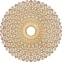 SCD_WildandFree_doily