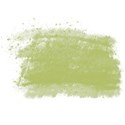 SCD_WildandFree_paint1