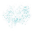 SCD_WildandFree_paint3