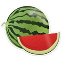 JAM-GrillinOut1-watermelon