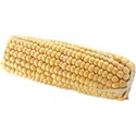 JAM-GrillinOut2-corn2