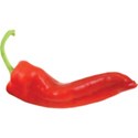 JAM-GrillinOut2-redchilli1