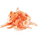 JAM-GrillinOut2-shrimp