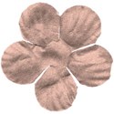 flower 4