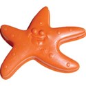 JAM-BeachFun2-starfish1