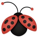 Ladybug