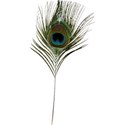 feather 1