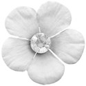 flower 4