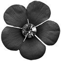 flower 3