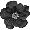 flower 7