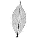 leaf black