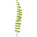 branch 1
