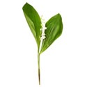 flower 6