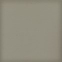 lisaminor_tpiyn_baker_paper_h