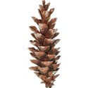JAM-FallFestival-cone1