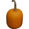 JAM-FallFestival-pumpkin3