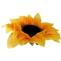 JAM-FallFestival-sunflower2