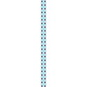strip5B