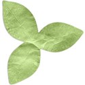 3-Leaves