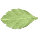 Leaf Left