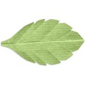Leaf Right