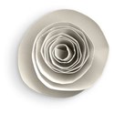 Rolled Rose 01