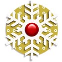 Snowflake Embellishment