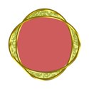 STP FrameDO2