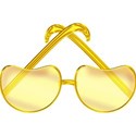 sunglasses beanY2
