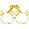 sunglasses bearY2F